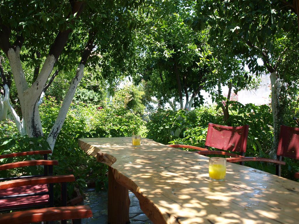 Εlegant Villa Liakos Pigí エクステリア 写真